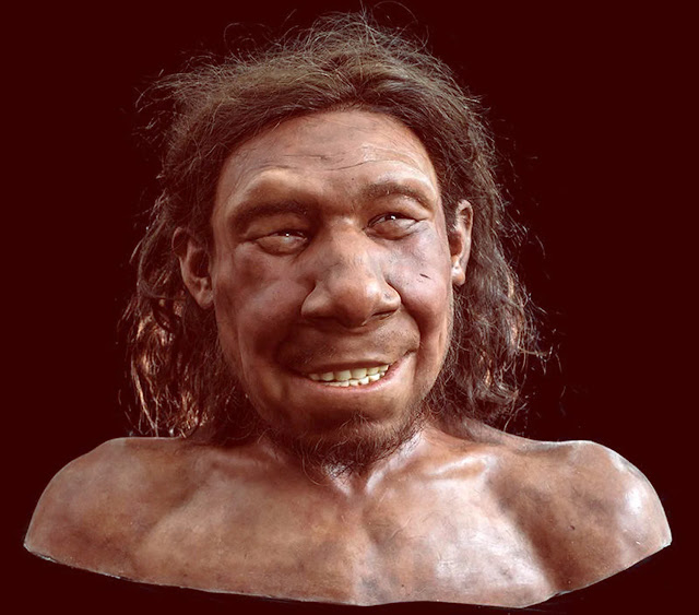 Revelado el rostro de un neandertal holandés