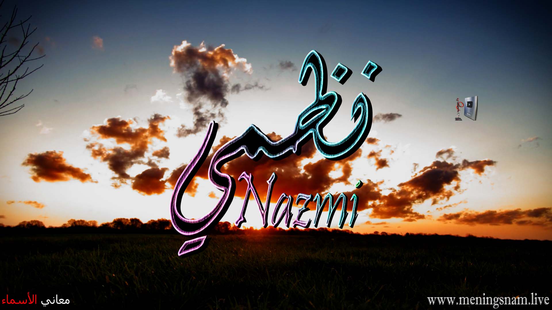 معنى اسم, نظمي, وصفات, حامل, هذا الاسم, Nazmi,