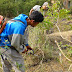 POTONG RUMPUT : terima jasa potong rumput,bogor,jakarta,depok