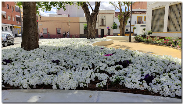 Plaza Miguel Gil Pachón