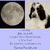 What Does A Super Blue Blood Moon and a Poodle Puppy have in Common?