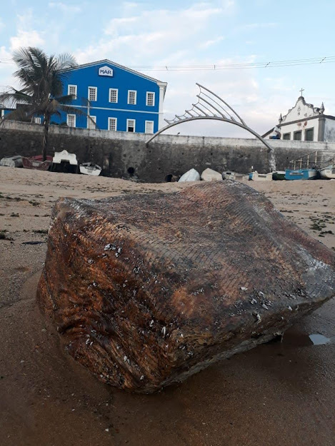 Caixa misteriosa aparece na Praia do Rio Vermelho 