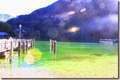 IMG_1355 IMG_1355