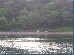 20150630_202115