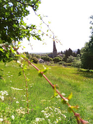 Picture of St Oswalds church from wild meadow in Ashbourne, Derbyshire.DE6 1AN. Cow Parsley and wild flowers. Blue Skies and green hedges.