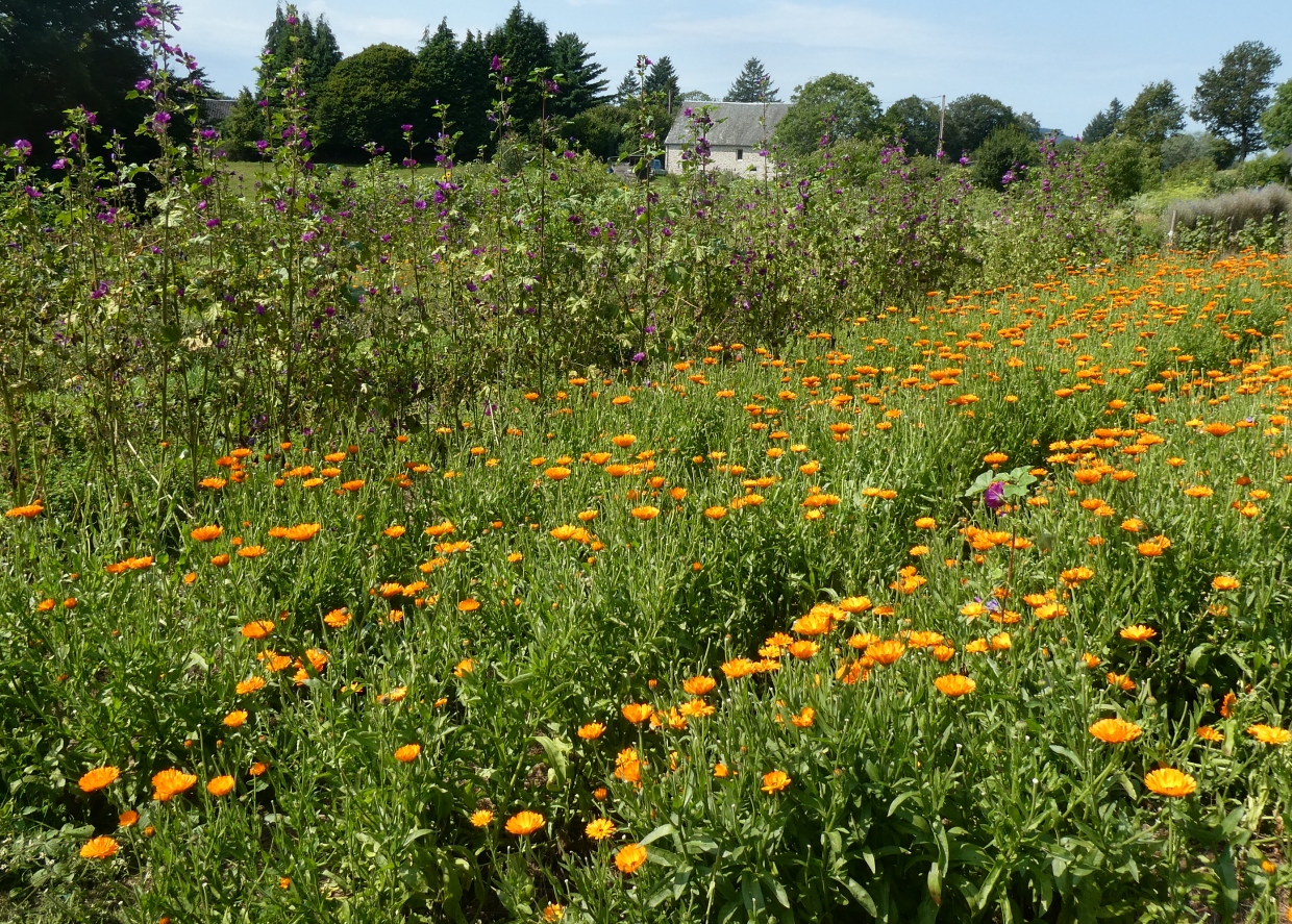 Jardin-du-Centaure