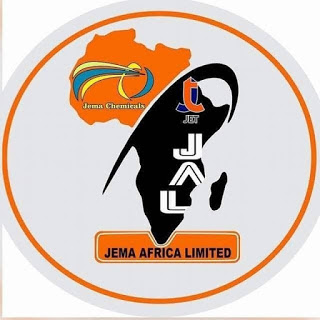 Jema Africa Company Limited - Mwanza, Chief Accountant