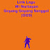 Lirik Lagu Mr Nurbayan - Goyang Goyang Senggol (GGS)