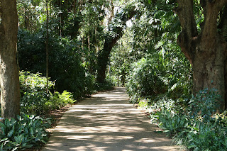 Palmetum Botanic Gardens, Townsville Qld