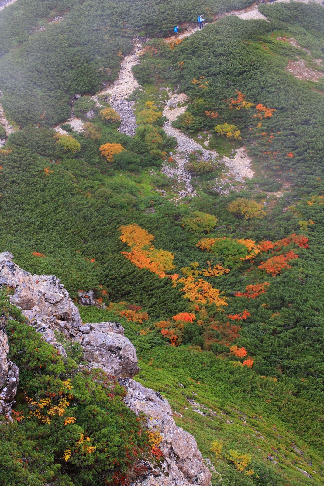 総集編 今年の紅葉を振り返り 山紅葉を堪能したシーズン とざんツーリズム Around Japan