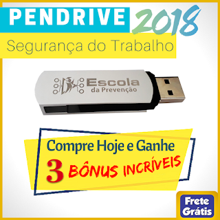 Pendrive Segurança do Trabalho 