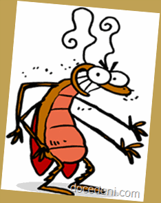 barata