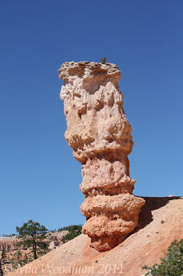 bryce canyon hoodoo