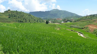 Trekking por Sapa.