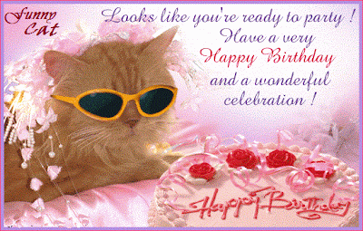 Funny Birthday Cakes on Funny Cat Happy Birthday Wishes Cards  Wallpaper   Festival Chaska