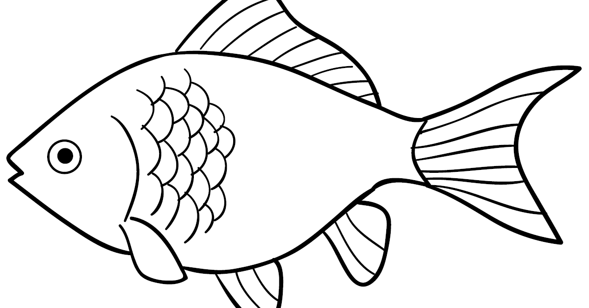 bonikids 10 Mewarnai Gambar Ikan Mas