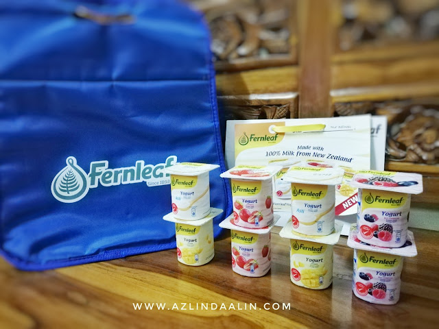 Yogurt Fernleaf Alternatif Sarapan Sihat untuk Pagi yang Sibuk