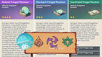 Robust Fungal Nucleus