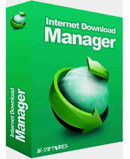 Internet Download Manager v6.15 Build 8 with Patch