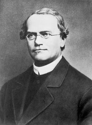 Gregor Mendel's 189th Birthday