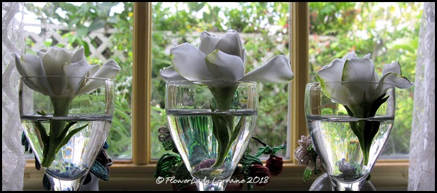 04-21-gardenias