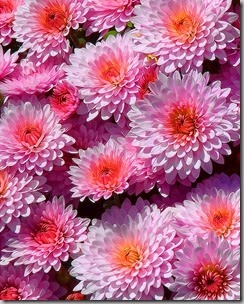ATT00125