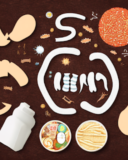 The Benefits of Probiotics for Gut Health