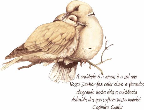 Pensamento