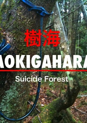 bosque suicida japones
