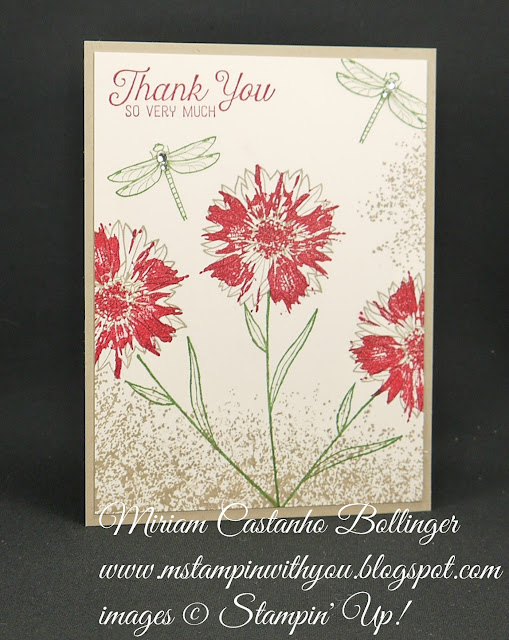 Miriam Castanho-Bollinger, #mstampinwithyou, stampin up, demonstrator, dsc, thank you, touches of texture, flourishing phrases stamp set, wink of stella, su