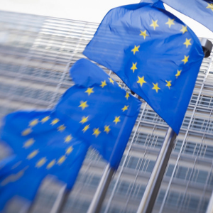 Avrupa Birliği Organları:  Zirve, Sayıştay, Merkez Bankası ve AB Adalet Divanı