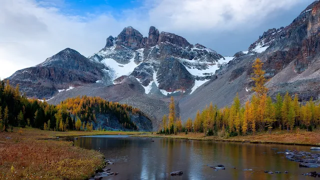 Natureza Montanhas Rio Neve Floresta