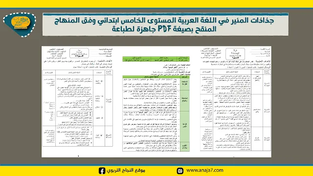 جذاذات المنير في اللغة العربية المستوى الخامس ابتدائي وفق المنهاج المنقح بصيغة PDF جاهزة لطباعة