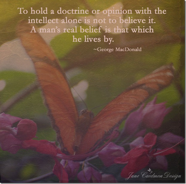 MacDonald_Quote