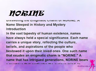 meaning of the name "NORINE"