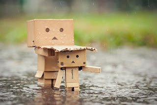 danbo