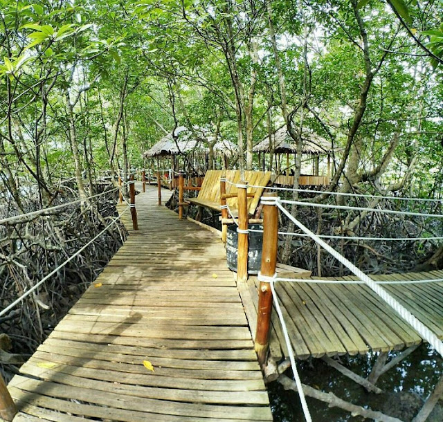 Hutan Mangrove Bintan
