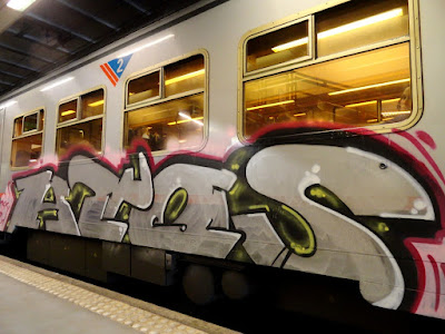 train panel