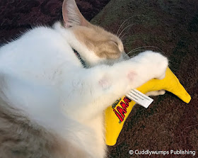 Real Cat Webster plays with catnip banana