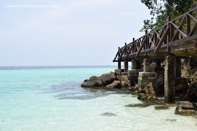 BEER, BEACH AND THE BLACKTIP REEF SHARKS OF PULAU PAYAR MARINE PARK