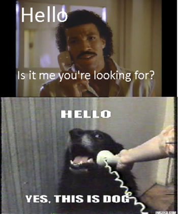 Isto Ã©...: Meme: Hello? Yes, This Is Dog.