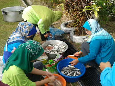 AJK Ikan Temenung/ Kembung