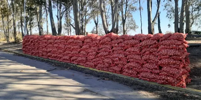 SENASA donó 13,5 toneladas de alimentos a entidades de bien público