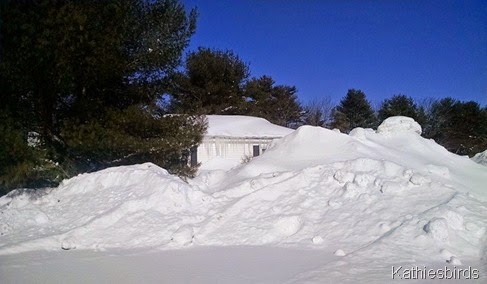 5. house behind the snow 2-13-15