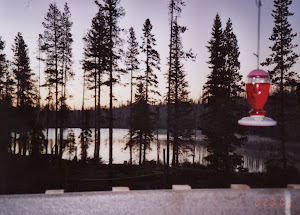 Round Lake Wilderness Camp