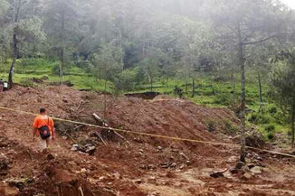 Rusak hutan Gunung Lawu. Pria di Karanganyar di amankan Polisi