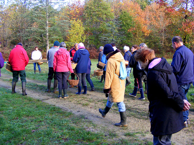 Setting out on a fungi foray with an expert mycologist.  Indre et Loire, France. Photographed by Susan Walter. Tour the Loire Valley with a classic car and a private guide.