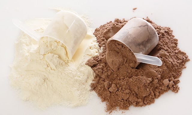 Which is better protein or mass gainer?