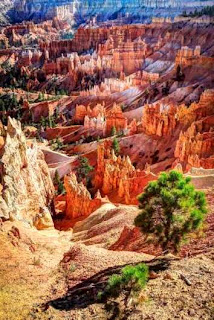 Bryce Canyon National Park (Best Honeymoon Destinations In USA) 3