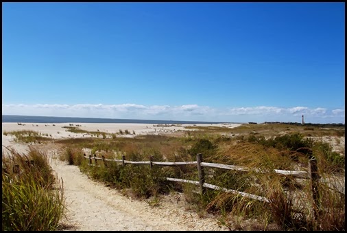Cape May Lighthouse  & TNC walk 125